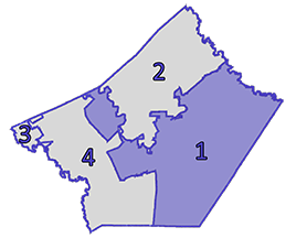 Precinct Map
